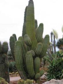 Путешествие на автомобиле по Майорке, Май-июнь 2012 года