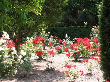 Путешествие на автомобиле по Майорке, Май-июнь 2012 года