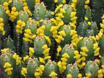 Путешествие на автомобиле по Майорке, Май-июнь 2012 года