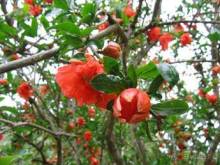 Путешествие на автомобиле по Майорке, Май-июнь 2012 года