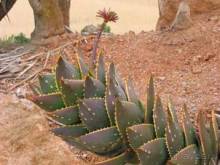 Путешествие на автомобиле по Майорке, Май-июнь 2012 года