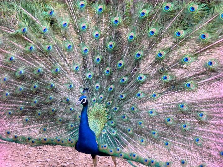 Путешествие на автомобиле по Майорке, Май-июнь 2012 года