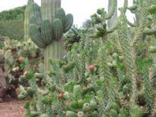 Путешествие на автомобиле по Майорке, Май-июнь 2012 года