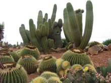 Путешествие на автомобиле по Майорке, Май-июнь 2012 года