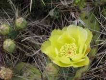 Путешествие на автомобиле по Майорке, Май-июнь 2012 года