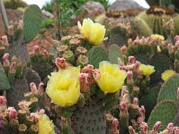 Путешествие на автомобиле по Майорке, Май-июнь 2012 года