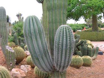 Путешествие на автомобиле по Майорке, Май-июнь 2012 года