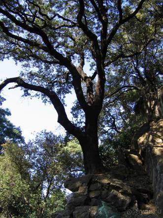 Путешествие на автомобиле по Майорке, Май-июнь 2012 года