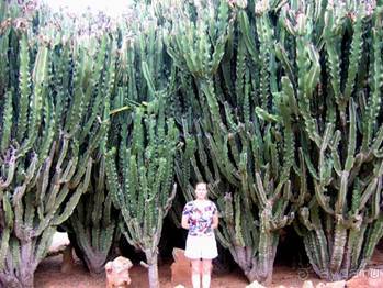 Путешествие на автомобиле по Майорке, Май-июнь 2012 года