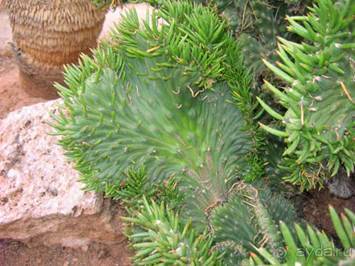 Путешествие на автомобиле по Майорке, Май-июнь 2012 года