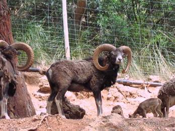 Путешествие на автомобиле по Майорке, Май-июнь 2012 года