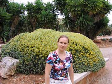 Путешествие на автомобиле по Майорке, Май-июнь 2012 года