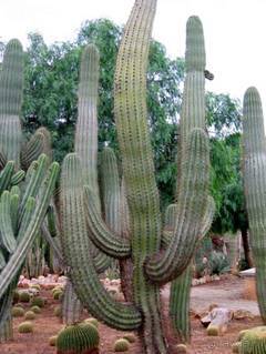 Путешествие на автомобиле по Майорке, Май-июнь 2012 года