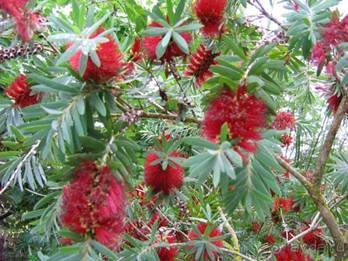 Путешествие на автомобиле по Майорке, Май-июнь 2012 года