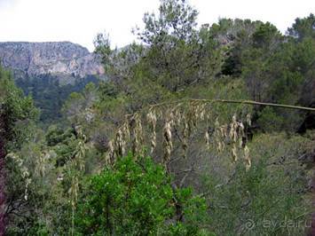 Путешествие на автомобиле по Майорке, Май-июнь 2012 года