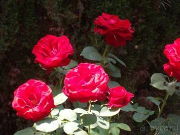 Путешествие на автомобиле по Майорке, Май-июнь 2012 года