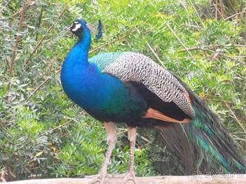 Путешествие на автомобиле по Майорке, Май-июнь 2012 года