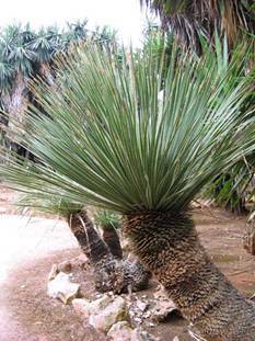 Путешествие на автомобиле по Майорке, Май-июнь 2012 года