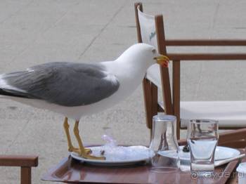 Путешествие на автомобиле по Майорке, Май-июнь 2012 года