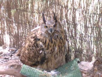 Путешествие на автомобиле по Майорке, Май-июнь 2012 года