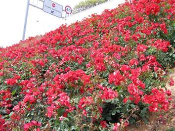 Путешествие на автомобиле по Майорке, Май-июнь 2012 года