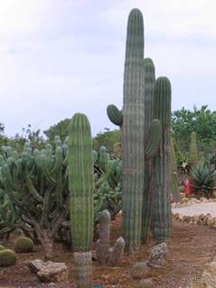 Путешествие на автомобиле по Майорке, Май-июнь 2012 года