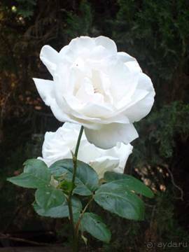 Путешествие на автомобиле по Майорке, Май-июнь 2012 года