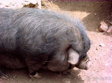 Путешествие на автомобиле по Майорке, Май-июнь 2012 года