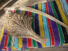 Отдых в Тунисе. 11 – 23 мая 2013 года