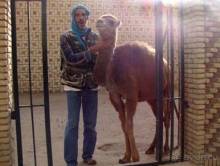 Отдых в Тунисе. 11 – 23 мая 2013 года