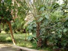 Отдых в Тунисе. 11 – 23 мая 2013 года