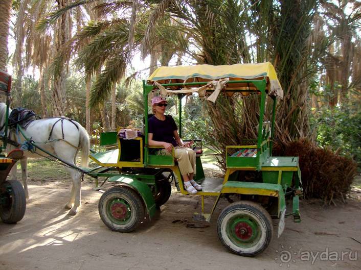 Отдых в Тунисе. 11 – 23 мая 2013 года