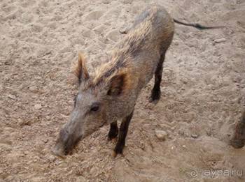 Отдых в Тунисе. 11 – 23 мая 2013 года