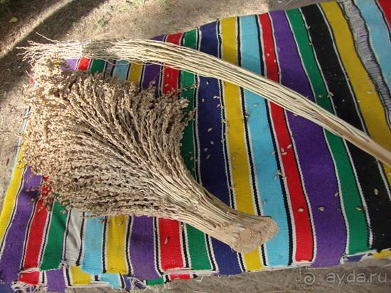 Отдых в Тунисе. 11 – 23 мая 2013 года