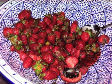 Отдых в Тунисе. 11 – 23 мая 2013 года