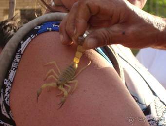 Отдых в Тунисе. 11 – 23 мая 2013 года