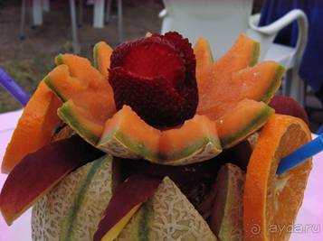 Отдых в Тунисе. 11 – 23 мая 2013 года