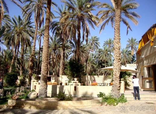 Отдых в Тунисе. 11 – 23 мая 2013 года