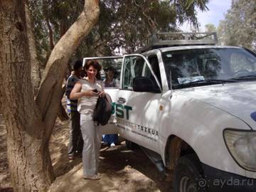 Отдых в Тунисе. 11 – 23 мая 2013 года