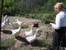 Родос. Путешествие на автомобиле по Родосу (а также Косу и Патмосу), май 2011 год