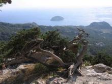 Родос. Путешествие на автомобиле по Родосу (а также Косу и Патмосу), май 2011 год