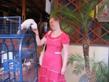 Родос. Путешествие на автомобиле по Родосу (а также Косу и Патмосу), май 2011 год