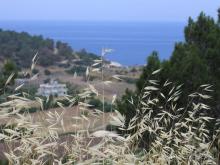 Родос. Путешествие на автомобиле по Родосу (а также Косу и Патмосу), май 2011 год