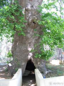 Родос. Путешествие на автомобиле по Родосу (а также Косу и Патмосу), май 2011 год