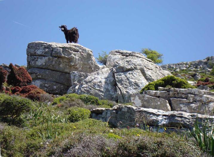 Родос. Путешествие на автомобиле по Родосу (а также Косу и Патмосу), май 2011 год