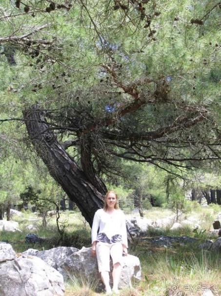 Родос. Путешествие на автомобиле по Родосу (а также Косу и Патмосу), май 2011 год