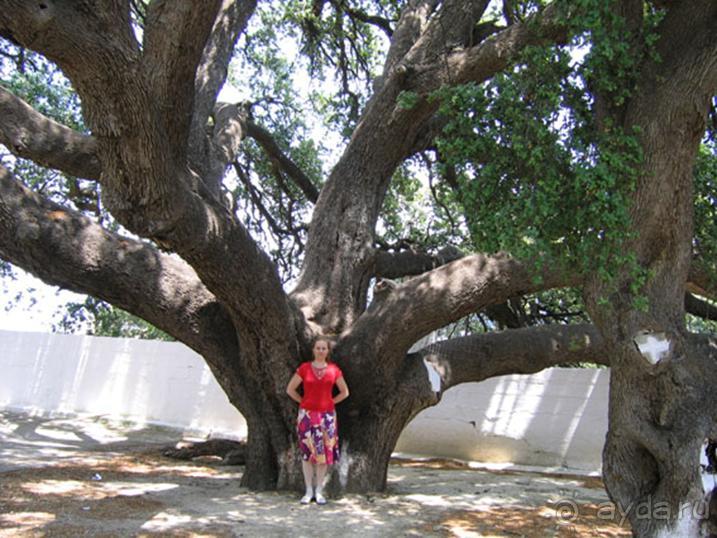 Родос. Путешествие на автомобиле по Родосу (а также Косу и Патмосу), май 2011 год