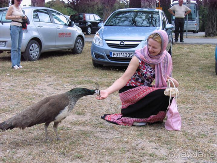 Родос. Путешествие на автомобиле по Родосу (а также Косу и Патмосу), май 2011 год