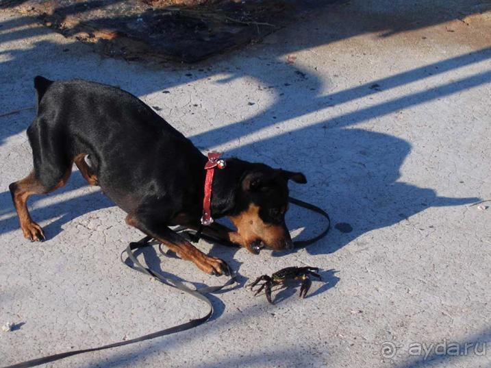 Родос. Путешествие на автомобиле по Родосу (а также Косу и Патмосу), май 2011 год