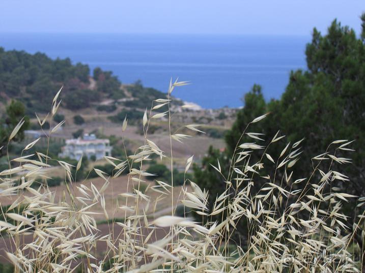 Родос. Путешествие на автомобиле по Родосу (а также Косу и Патмосу), май 2011 год